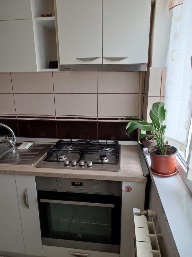 Concept Valcea Apartment *