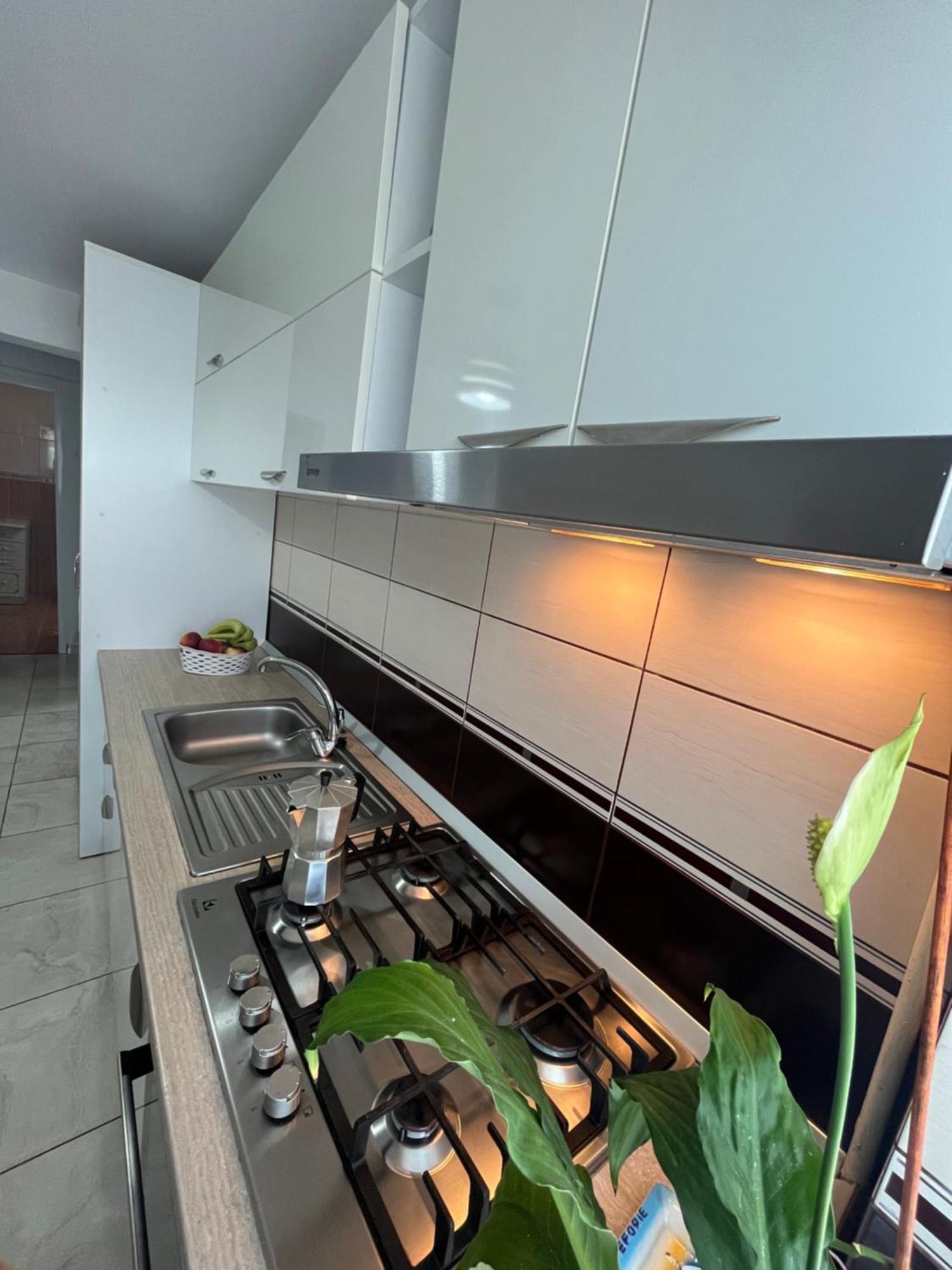 Concept Valcea Apartment