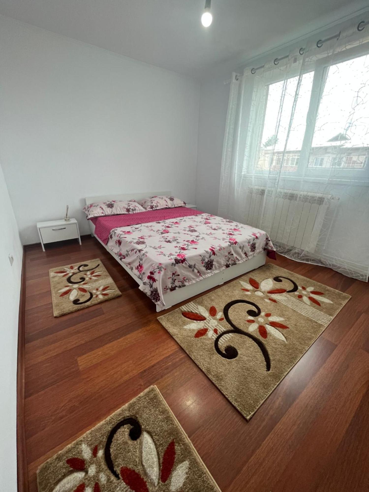 Apartment Concept Valcea *